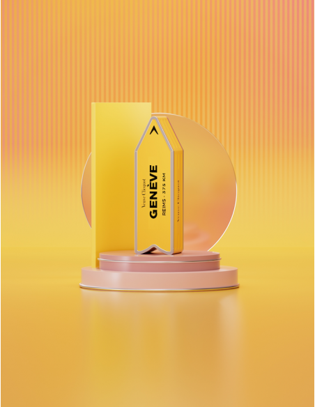 Veuve Clicquot ARROW "GENÈVE" Metal GIFTBOX Brut Carte Jaune - 75 cl