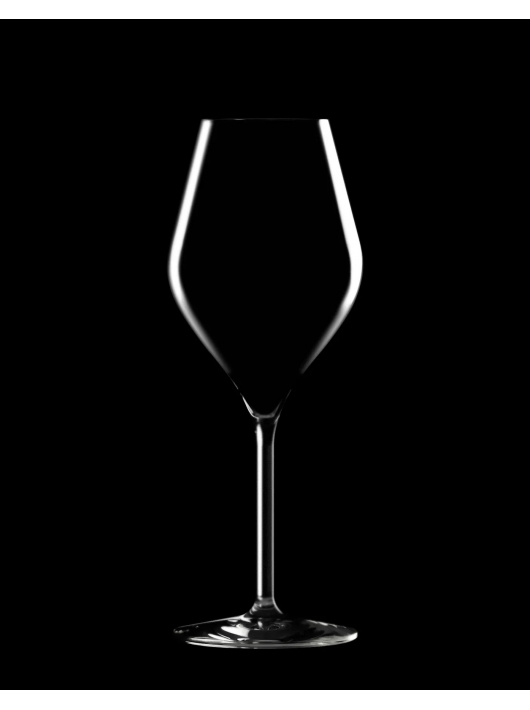 Champagne 2 Champagnergläser 38 cl aus PLEXI