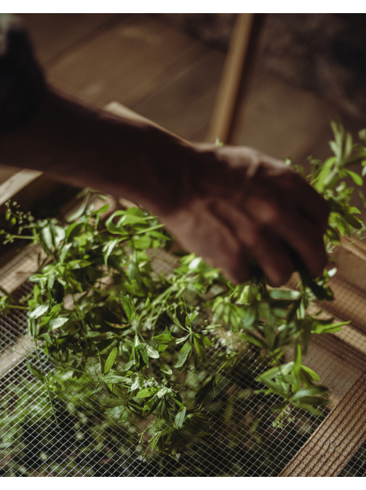 GIN MONKEY 47 Monkey 47 Distiller’s Cut 2023 - 47% - 50 CL