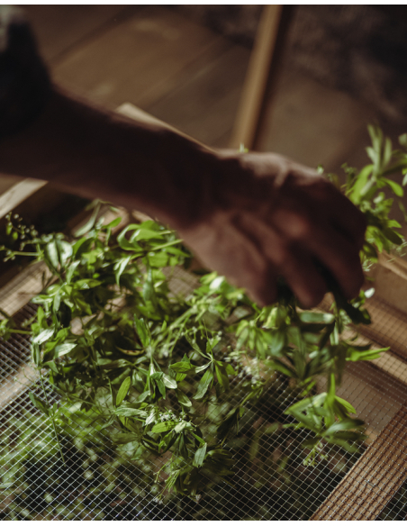 GIN MONKEY 47 Monkey 47 Distiller’s Cut 2023 - 47% - 50 CL