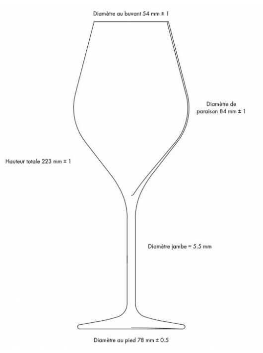 Champagne 6 Verres à champagne 38 cl Made In Reims