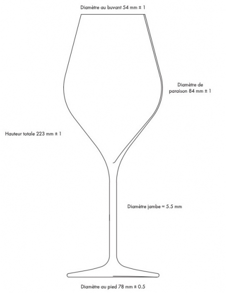 Champagne 6 Verres à champagne 38 cl Made In Reims