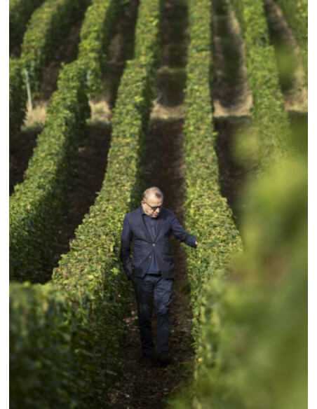 Dom Pérignon Vintage 2006 rosé - 300 cl