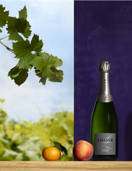 LALLIER CHAMPAGNE Blanc de Noirs - 75cl