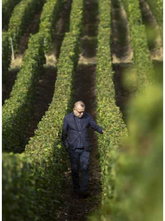 Dom Pérignon Vintage 2009 blanc - 600 cl