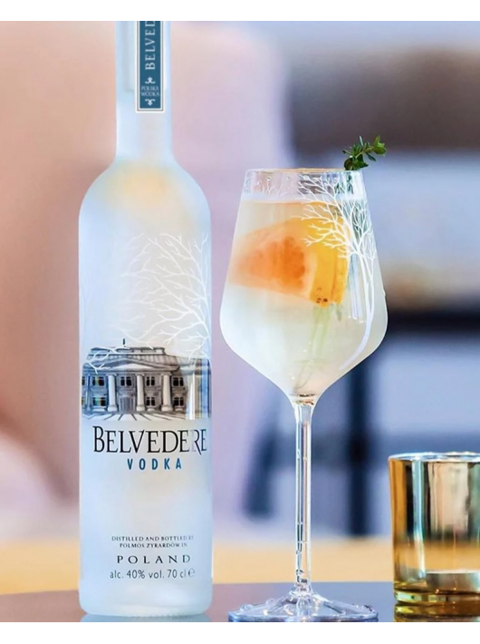 Belvedere Vodka Set 2 Medium Ice Bucket & 6 Spritz Glasses & 2 bottles Pure & 2 Mini Shaker - 40% - 2 x 70 CL