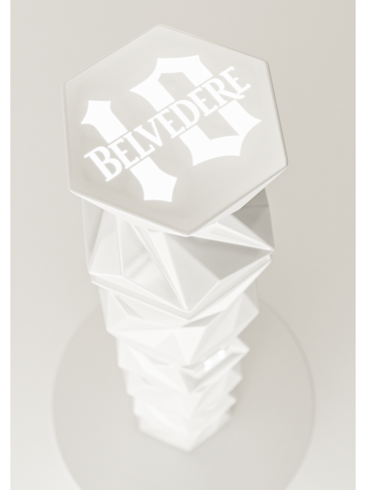 Belvedere Vodka Set 2 Glasses & B10 Luminous Limited Edition - 40% - 70 CL