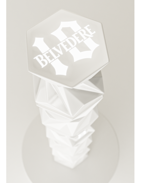 Belvedere Vodka Set 2 Glasses & B10 Luminous Limited Edition - 40% - 70 CL