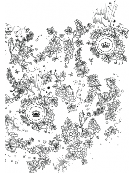 Moët & Chandon Rosé Impérial Limited Edition Giftbox - 75 cl