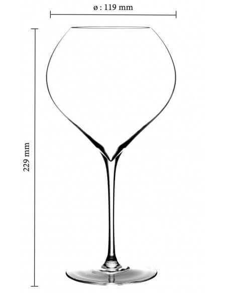 Champagne 6 Glasses 75 CL "CHAMPAGNE ON ICE" MADE IN REIMS