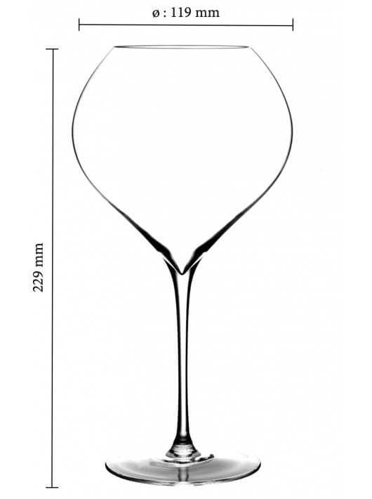 Champagne 2 VERRES 75 CL "CHAMPAGNE ON ICE" MADE IN REIMS