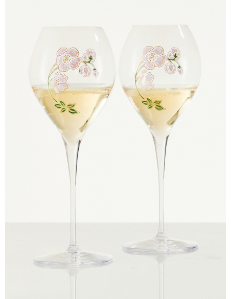 Perrier-jouët 2 CHAMPAGNER GLÄSER 28.5 CL