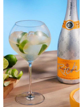 Champagne 2 VERRES 75 CL "CHAMPAGNE ON ICE" MADE IN REIMS 2