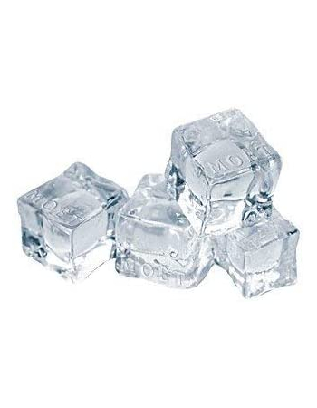 Moët & Chandon Ice cube mould with Moët logo engrave 2