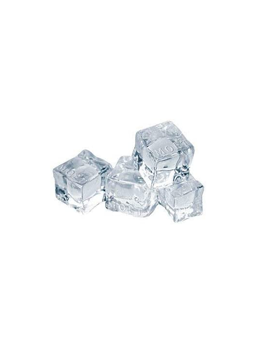 Moët & Chandon Bac à Glaçons avec logo Moët